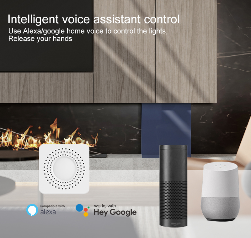 Tuya Mini Smart Switch WiFi 1- – Home Assistant Tuya Bewertung und Preis