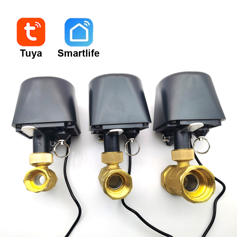 Tuya WiFi oder Zigbee Wasserve – Home Assistant Tuya Bewertung und Preis